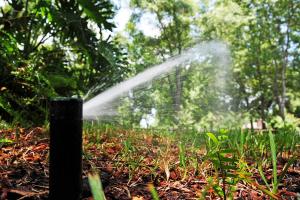 Our Mansfield Sprinkler Installation team can help your lawn look great